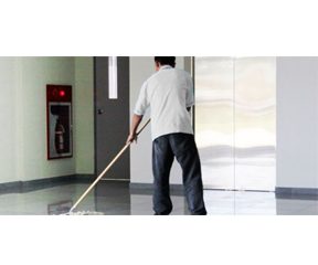 Bodrum Bina Temizliği